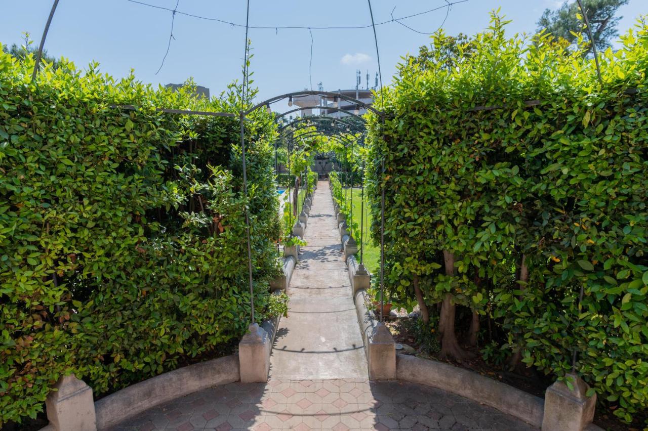 Villa Luisa Bari Dış mekan fotoğraf